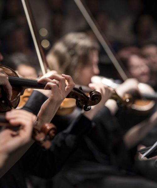violins-1838390_1280